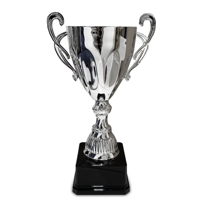 SILVER HANDLED TROPHY CUP ON SILVER RISER AVAILABLE IN 3 SIZES